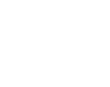 libelula_logo